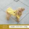 【ポイント20倍】☆楽天ランキング1位☆ラッピング無料犬服洋服犬の服ドッグウェアドッグドレス小型犬超小型犬あす楽メール便送料無料誕生日記念日ギフトプレゼントスカートワンピースふりふりフリルメス日本製綿父の日母の日