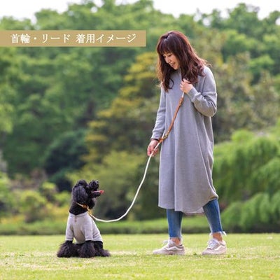 【首輪とリードのセット1000円引き】ラッピング無料犬ペット用品ドッググッズ小型犬ペットグッズ首輪カラーリードあす楽送料無料メール便誕生日父の日ギフトプレゼントショルダー肩掛け手持ちレザー革ロープ散歩お出かけ手ぶら