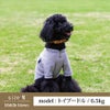 【首輪とリードのセット1000円引き】ラッピング無料犬ペット用品ドッググッズ小型犬ペットグッズ首輪カラーリードあす楽送料無料メール便誕生日父の日ギフトプレゼントショルダー肩掛け手持ちレザー革ロープ散歩お出かけ手ぶら