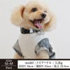 【Tシャツとネックアクセサリーセット】【1000円引き】お揃いペアルックコーディネート犬服洋服犬の服ペットウェア小型犬ダックスフレブルあす楽メール便送料無料誕生日記念日春夏父の日母の日プレゼントギフトラッピング無料バンダナ柄
