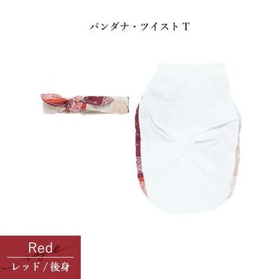 【Tシャツとネックアクセサリーセット】【1000円引き】お揃いペアルックコーディネート犬服洋服犬の服ペットウェア小型犬ダックスフレブルあす楽メール便送料無料誕生日記念日春夏父の日母の日プレゼントギフトラッピング無料バンダナ柄