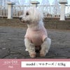 【ポイント20倍】☆楽天ランキング1位☆ラッピング無料犬服洋服犬服犬の服ドッグウェアペット小型犬フレブルダックスあす楽メール便送料無料誕生日記念日父の日母の日ホワイトデーギフトプレゼントペアルック犬とお揃い綿コットン日本製タンクトップ