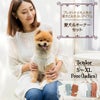 【愛犬と飼い主様用のレースニットセット1000円引き】お揃いペアルック犬服犬服ドッグウェア小型犬あす楽送料無料誕生日記念日父の日母の日春夏ギフトプレゼントラッピング無料サマーメッシュさっくりニット日本製綿コットン