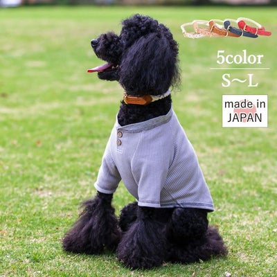 【ポイント20倍】☆楽天ランキング1位☆ラッピング無料犬犬用ペット用グッズ首輪ドッググッズペットグッズ小型犬あす楽メール便送料無料誕生日記念日父の日母の日ホワイトデーギフトプレゼント贈り物小物アクセサリーヌメ革レザーロープ散歩オシャレ