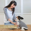 【レディース女性飼い主様用】犬洋服犬服犬の服ドッグウェア小型犬ペアルックお揃いブランドギフトプレゼント贈り物ラッピング無料シンプルカジュアルおしゃれ日本製国産綿コットンTシャツラグランロゴ春夏秋Vagueブランド