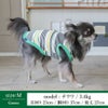【ポイント20倍】【初売りP還元】ラッピング無料犬服洋服犬服犬の服ドッグウェアペットウェア小型犬あす楽メール便送料無料誕生日記念日バレンタインデーホワイトデープレゼントギフト贈り物タンクトップコットン綿ボーダー肌触り日本製