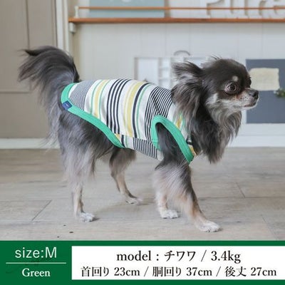 【ポイント20倍】【初売りP還元】ラッピング無料犬服洋服犬服犬の服ドッグウェアペットウェア小型犬あす楽メール便送料無料誕生日記念日バレンタインデーホワイトデープレゼントギフト贈り物タンクトップコットン綿ボーダー肌触り日本製