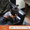【ポイント20倍】【初売りP還元】ラッピング無料犬服洋服犬服犬の服ドッグウェアペットウェア小型犬あす楽メール便送料無料誕生日記念日バレンタインデーホワイトデープレゼントギフト贈り物タンクトップコットン綿ボーダー肌触り日本製