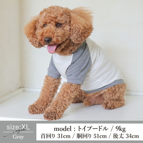 Vague ロゴ 刺繍 犬 犬服 服 洋服 犬の服 ドッグウェア ペットウェア Tシャツ ラグラン 半袖 袖あり お揃い ペアルック  かわいい おしゃれ シンプル 綿 コットン 日本製 春 夏 秋