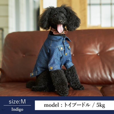 ラッピング無料犬服犬服洋服犬の服ドッグウェアペットウェア小型犬ダックス送料無料春秋冬誕生日記念日父の日母の日ホワイトデーギフトプレゼントラッピング綿デニムジャケット日本製かっこいいお洒落