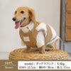 【ポイント20倍】ラッピング無料犬服洋服犬の服ドッグウェア小型犬防寒防風寒さ対策冬あす楽メール便送料無料誕生日記念日プレゼントギフト贈り物ラッピングメッセージカードムートンボアペアルックお揃いオシャレ日本製綿暖かい父の日母の日