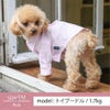 【名入れ 刺繍】犬服 洋服 犬の服 ドッグウェア ペットウェア ダックス 男の子 女の子 誕生日 記念日 ギフト プレゼント お祝い ラッピング 白 赤 青 ワイシャツ 薄手 綿 コットン 襟 ボタン ダウン フォーマル おしゃれ 袖あり 春 夏 秋 お出かけ 写真 撮影 結婚式 お揃い
