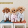 【名入れ 刺繍】犬服 洋服 犬の服 ドッグウェア ペットウェア ダックス 男の子 女の子 誕生日 記念日 ギフト プレゼント お祝い ラッピング 白 赤 青 ワイシャツ 薄手 綿 コットン 襟 ボタン ダウン フォーマル おしゃれ 袖あり 春 夏 秋 お出かけ 写真 撮影 結婚式 お揃い