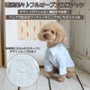 【名入れ 刺繍】犬服 洋服 犬の服 ドッグウェア ペットウェア ダックス 男の子 女の子 誕生日 記念日 ギフト プレゼント お祝い ラッピング 白 赤 青 ワイシャツ 薄手 綿 コットン 襟 ボタン ダウン フォーマル おしゃれ 袖あり 春 夏 秋 お出かけ 写真 撮影 結婚式 お揃い