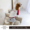 【ポイント20倍】ラッピング無料犬服犬服犬の服ドッグウェアペットウェアあす楽メール便送料無料誕生日記念日ギフトプレゼント贈り物無料メッセージカードペアルックお揃い綿日本製スカートデニム父の日母の日