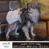 【ポイント20倍】ラッピング無料犬服犬服犬の服ドッグウェアペットウェアあす楽メール便送料無料誕生日記念日ギフトプレゼント贈り物無料メッセージカードペアルックお揃い綿日本製スカートデニム父の日母の日