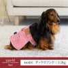 【ポイント20倍】ラッピング無料犬服犬服犬の服ドッグウェアペットウェアあす楽メール便送料無料誕生日記念日ギフトプレゼント贈り物無料メッセージカードペアルックお揃い綿日本製スカートデニム父の日母の日