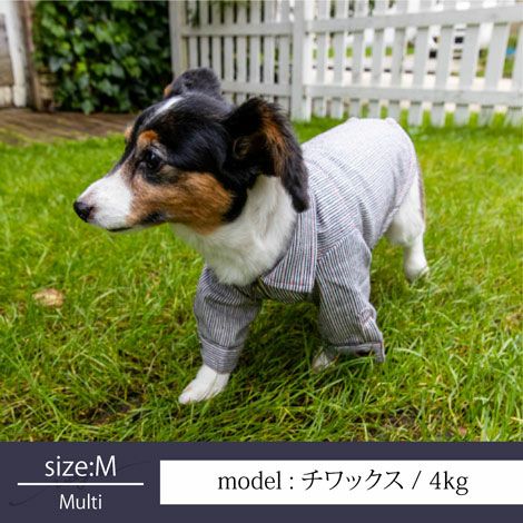 【名入れ 名前 刺繍 】犬服 犬の服 洋服 ドッグウェア ペット 小型犬 パピー フレブル ダックス 男の子 女の子 ペアルック お揃い あす楽 メール便 誕生日 記念日 ギフト プレゼント お祝い 綿 コットン 日本製 ヒッコリー デニム ストライプ ジャケット 春 秋 冬 おしゃれ
