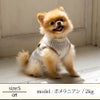 【名入れ 刺繍】犬 服 洋服 犬の服 ドッグウェア 小型犬 フレブル ダックス 記念日 誕生日 ギフト 贈り物 プレゼント ラッピング お祝い ベスト 背中 背面 開き ジッパー チャック 綿 コットン 日本製 腰 負担 軽減 ヘルニア 秋冬 簡単 着脱 キャンプ アウトドア おしゃれ