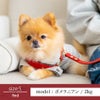 【ポイント20倍】☆楽天ランキング1位☆ラッピンング無料犬ペットグッズ用品犬用ドッググッズ超小型犬小型犬あす楽メール便送料無料ハーネス胴輪固定胸あて式誕生日記念日父の日母の日ホワイトデーギフトプレゼントレザーヌメ革日本製調整可能おしゃれ