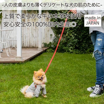【ポイント20倍】☆楽天ランキング1位☆ラッピング無料犬犬用ペットグッズ用品ドッググッズ超小型犬小型犬中型犬あす楽メール便送料無料誕生日記念日父の日母の日ホワイトデーギフトプレゼントリードレザーヌメ革牛革日本製散歩多頭飼い２頭複数