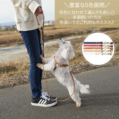 【ポイント20倍】☆楽天ランキング1位☆ラッピング無料犬犬用ペットグッズ用品ドッググッズ超小型犬小型犬中型犬あす楽メール便送料無料誕生日記念日父の日母の日ホワイトデーギフトプレゼントリードレザーヌメ革牛革日本製散歩多頭飼い２頭複数