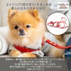 【ポイント20倍】☆楽天ランキング1位☆ラッピング無料犬犬用ペットグッズ用品ドッググッズ超小型犬小型犬中型犬あす楽メール便送料無料誕生日記念日父の日母の日ホワイトデーギフトプレゼントリードレザーヌメ革牛革日本製散歩多頭飼い２頭複数