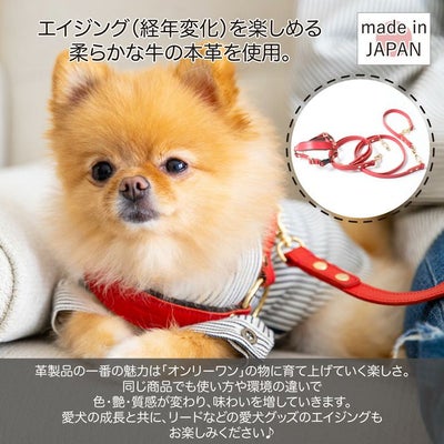 【ポイント20倍】☆楽天ランキング1位☆ラッピング無料犬犬用ペットグッズ用品ドッググッズ超小型犬小型犬中型犬あす楽メール便送料無料誕生日記念日父の日母の日ホワイトデーギフトプレゼントリードレザーヌメ革牛革日本製散歩多頭飼い２頭複数