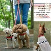 【ポイント20倍】☆楽天ランキング1位☆ラッピング無料犬犬用ペットグッズ用品ドッググッズ超小型犬小型犬中型犬あす楽メール便送料無料誕生日記念日父の日母の日ホワイトデーギフトプレゼントリードレザーヌメ革牛革日本製散歩多頭飼い２頭複数