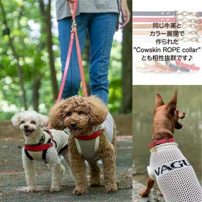 【ポイント20倍】☆楽天ランキング1位☆ラッピング無料犬犬用ペットグッズ用品ドッググッズ超小型犬小型犬中型犬あす楽メール便送料無料誕生日記念日父の日母の日ホワイトデーギフトプレゼントリードレザーヌメ革牛革日本製散歩多頭飼い２頭複数