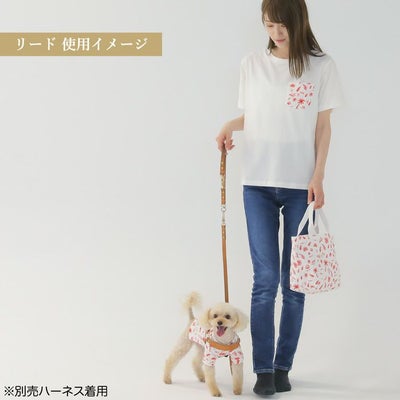 【ポイント20倍】☆楽天ランキング1位☆ラッピング無料犬犬用ペットグッズ用品ドッググッズ超小型犬小型犬中型犬あす楽メール便送料無料誕生日記念日父の日母の日ホワイトデーギフトプレゼントリードレザーヌメ革牛革日本製散歩多頭飼い２頭複数