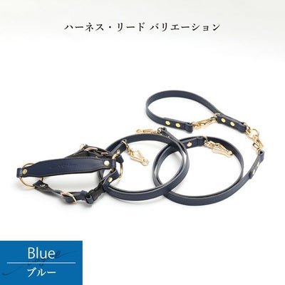 【ポイント20倍】☆楽天ランキング1位☆ラッピング無料犬犬用ペットグッズ用品ドッググッズ超小型犬小型犬中型犬あす楽メール便送料無料誕生日記念日父の日母の日ホワイトデーギフトプレゼントリードレザーヌメ革牛革日本製散歩多頭飼い２頭複数