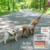 【ポイント20倍】ラッピング無料犬犬用ペットグッズ用品ドッググッズペットグッズ小型犬あす楽メール便送料無料誕生日記念日父の日母の日ホワイトデー母の日ギフトプレゼント追加リードレザーカプラー日本製お出かけ多頭飼い2頭引き