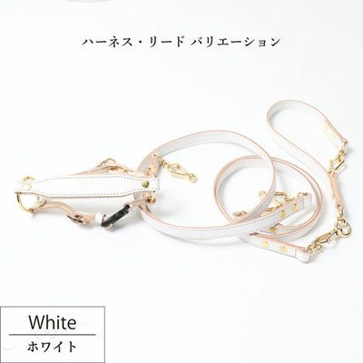 【ポイント20倍】ラッピング無料犬犬用ペットグッズ用品ドッググッズペットグッズ小型犬あす楽メール便送料無料誕生日記念日父の日母の日ホワイトデー母の日ギフトプレゼント追加リードレザーカプラー日本製お出かけ多頭飼い2頭引き