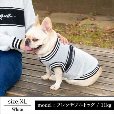【ポイント20倍】☆楽天ランキング1位☆ラッピング無料犬服洋服犬服犬の服ドッグウェアペットウェア小型犬あす楽メール便送料無料ペアルックお揃い秋冬誕生日記念日父の日母の日ホワイトデーギフトプレゼント日本製綿コットンニットセーターストレッチ