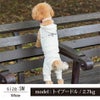 【ポイント20倍】ラッピング無料犬服犬服洋服犬の服ドッグウェアペット服あす楽メール便送料無料誕生日記念日ギフトプレゼントペアルックお揃いおそろコーデロンパースボトムパンツずぼん綿日本製父の日母の日