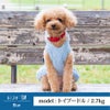 【ポイント20倍】☆楽天ランキング1位獲得☆ラッピング無料犬服犬服犬の服ドッグウェアペットウェア小型犬ダックスフンドあす楽メール便送料無料誕生日記念日ギフトプレゼント贈り物ペアルックお揃い綿日本製父の日母の日