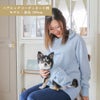 【ポイント20倍】☆楽天ランキング1位獲得☆ラッピング無料犬服犬服犬の服ドッグウェアペットウェア小型犬ダックスフンドあす楽メール便送料無料誕生日記念日ギフトプレゼント贈り物ペアルックお揃い綿日本製父の日母の日