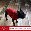 【ポイント20倍】☆楽天ランキング1位☆ラッピング無料犬服洋服犬服犬の服ドッグウェアペットウェア小型犬あす楽メール便送料無料誕生日記念日父の日母の日ホワイトデーギフトプレゼントメッセージカード日本製綿ウール袖なしニット防寒ストレッチ暖かい