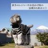 【ポイント20倍】☆楽天ランキング1位☆ラッピンング無料犬服洋服犬の服ドッグウェアペットウェア小型犬ダックスあす楽メール便送料無料冬誕生日記念日父の日母の日ホワイトデーギフトプレゼントロンパースニットボーダー綿日本製暖かい全身上下