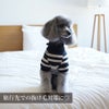 【ポイント20倍】☆楽天ランキング1位☆ラッピンング無料犬服洋服犬の服ドッグウェアペットウェア小型犬ダックスあす楽メール便送料無料冬誕生日記念日父の日母の日ホワイトデーギフトプレゼントロンパースニットボーダー綿日本製暖かい全身上下