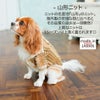 犬 服 洋服 犬の服 ドッグウェア 小型犬 防寒 防風 寒さ対策 冬 あす楽 メール便 送料無料 クリスマス 誕生日 記念日 ギフト 贈り物 プレゼント ラッピング お揃い ペアルック 日本製 ウール ニット セーター 防寒 保温  カーディガン カジュアル オシャレ 幾何学模様